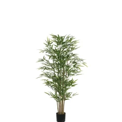 Bambou en pot 150 cm