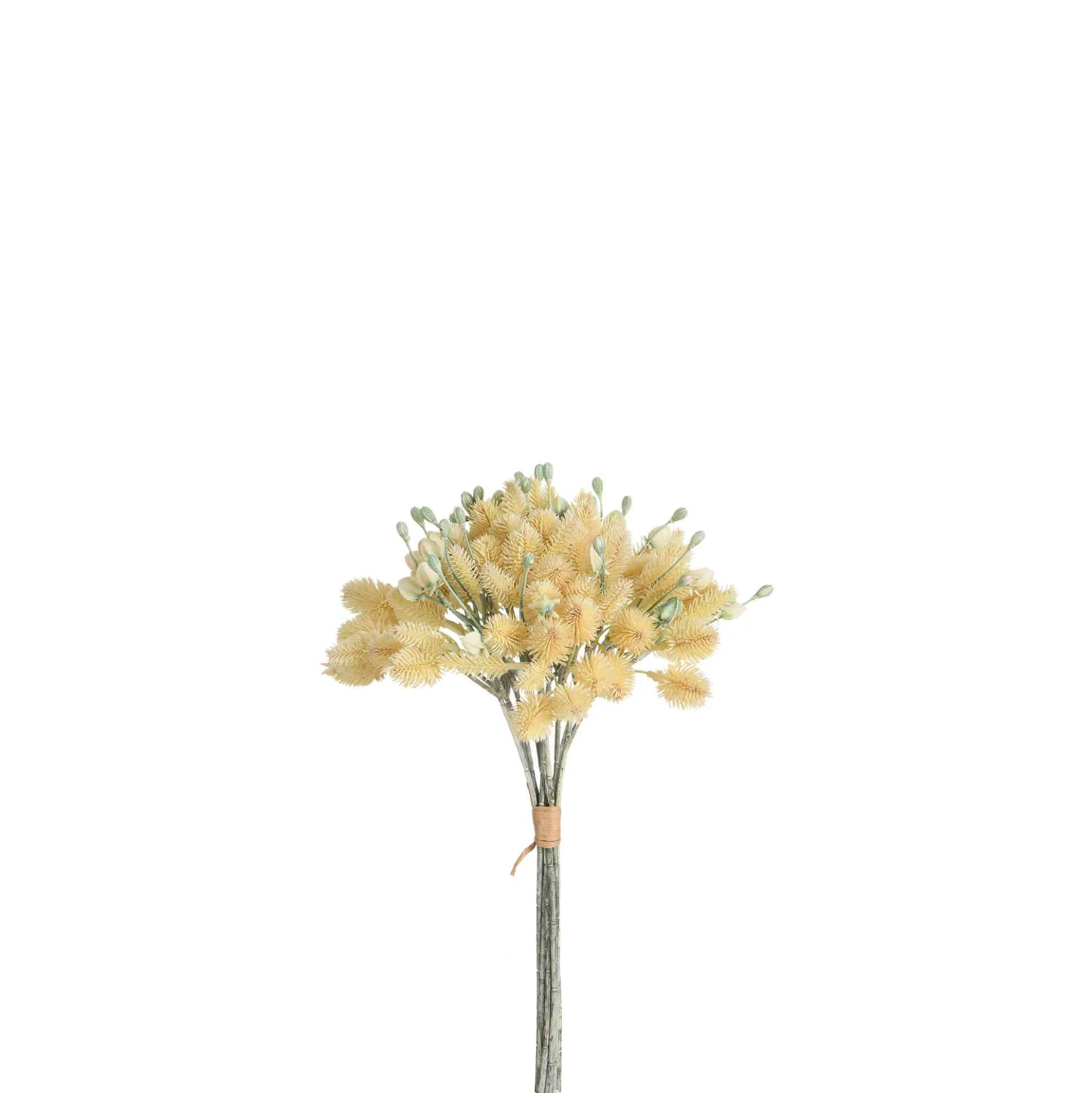 Bouquet de Chardon 40 cm