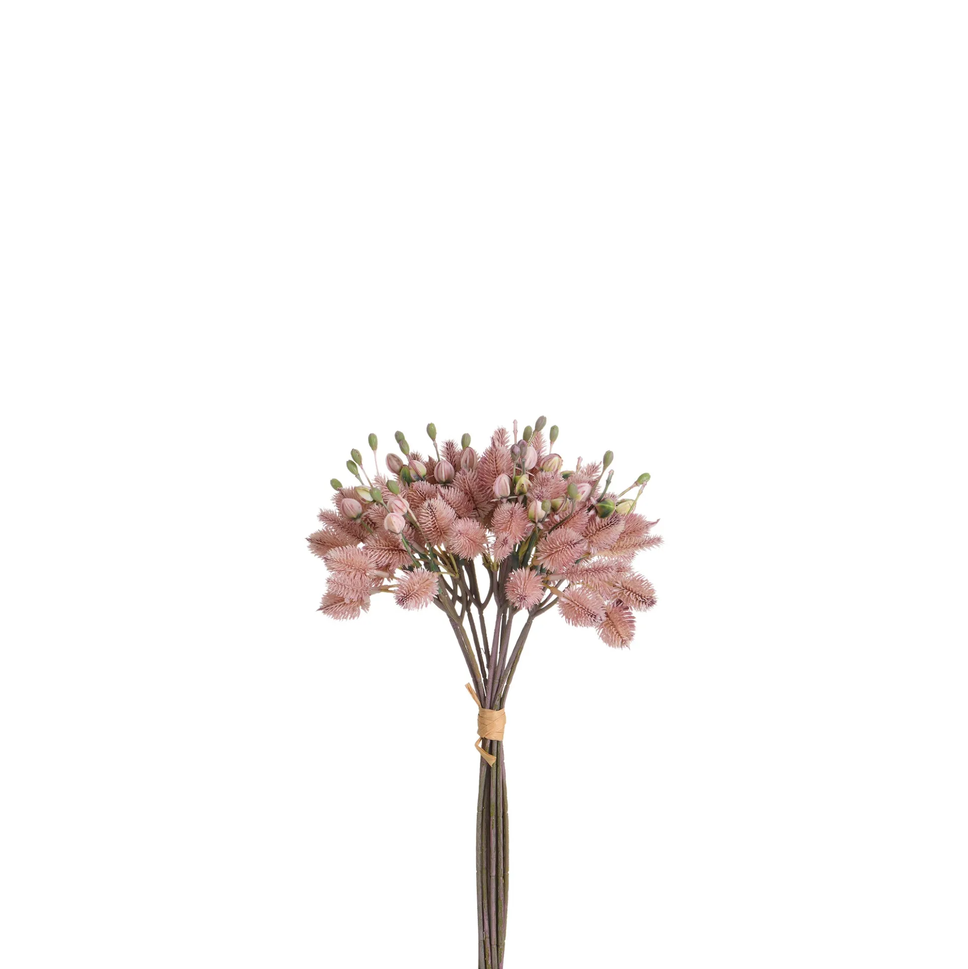 Bouquet de Chardon 40 cm