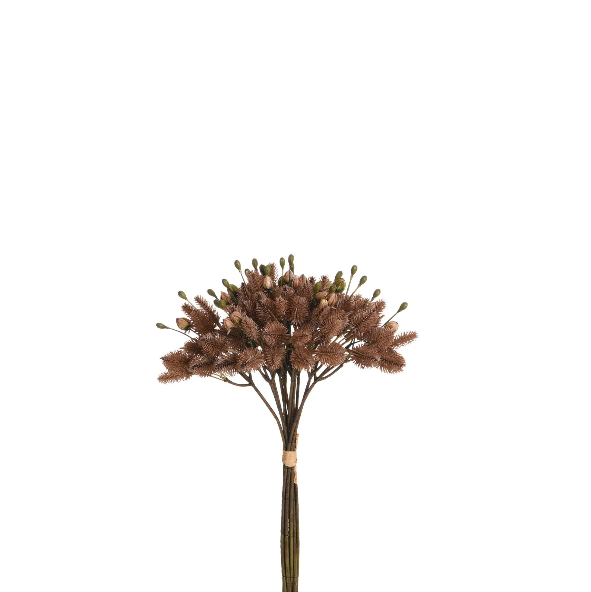 Bouquet de Chardon 40 cm