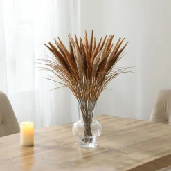 Bouquet de Pampa 12 tiges 50 cm