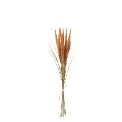 Bouquet de Pampa 7 tiges 50 cm