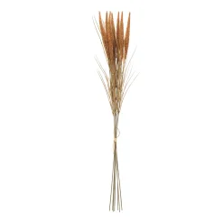 Bouquet de Pampa 7 tiges 80 cm