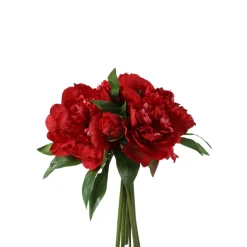 Bouquet de Pivoines