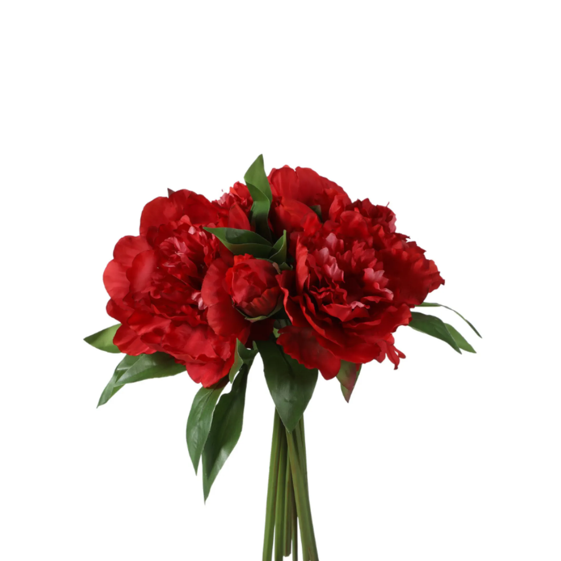 Bouquet de Pivoines
