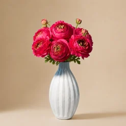 Bouquet de Renoncules fuchsia 10 tiges