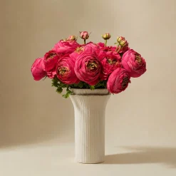 Bouquet de Renoncules fuchsia 17 tiges