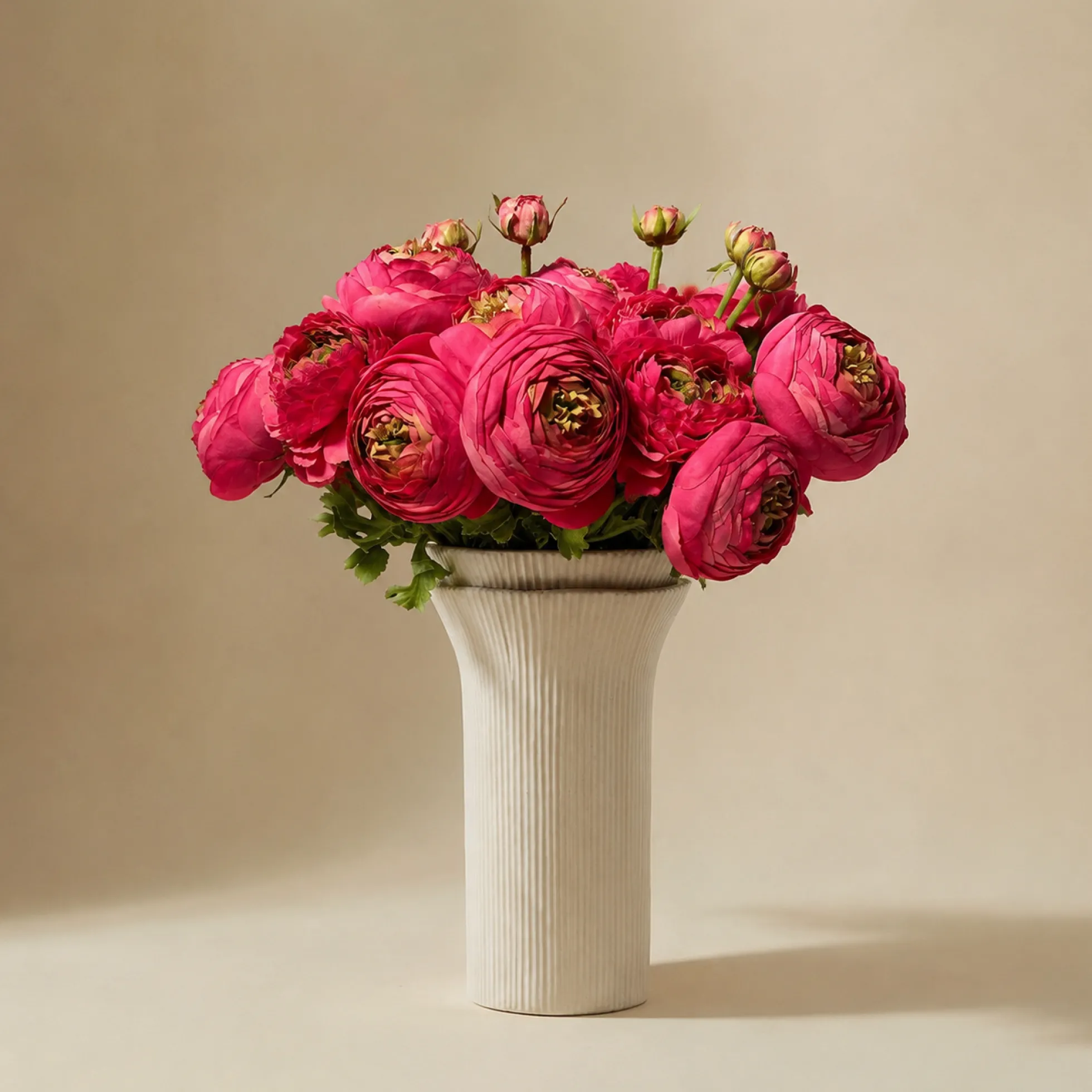 Bouquet de Renoncules fuchsia 17 tiges