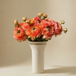 Bouquet de Renoncules rose orangé 10 tiges
