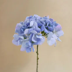 Bouquet d’Hortensia bleu 12 tiges