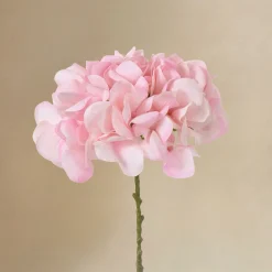 Bouquet d’Hortensia rose 12 tiges
