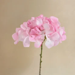 Bouquet d’Hortensia rose 12 tiges