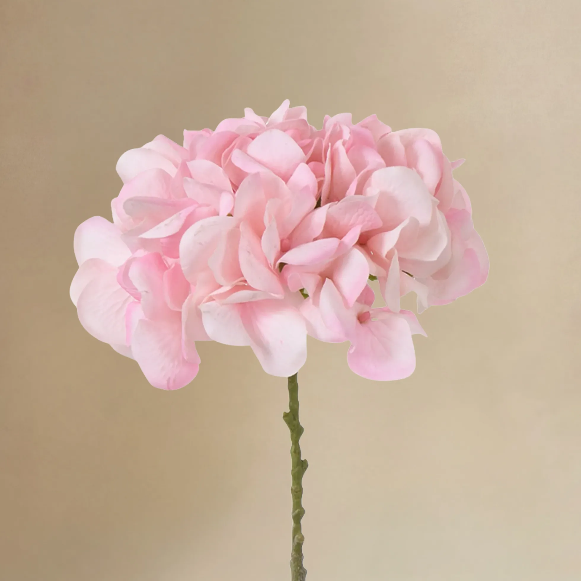 Bouquet d’Hortensia rose 9 tiges