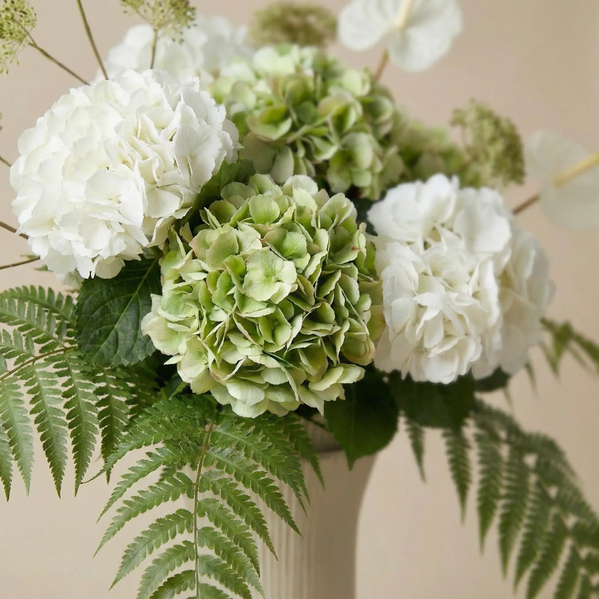 Bouquet d'Hortensias Élora