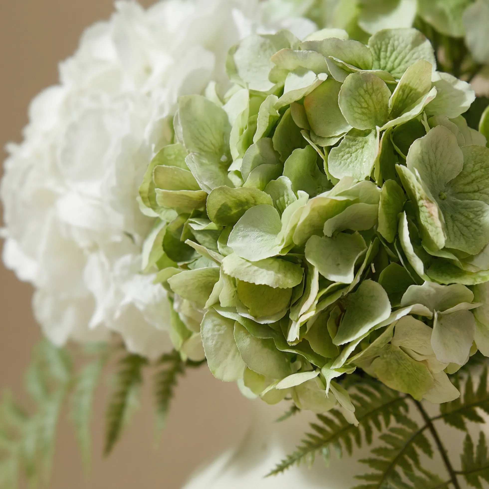 Bouquet d'Hortensias Vireya