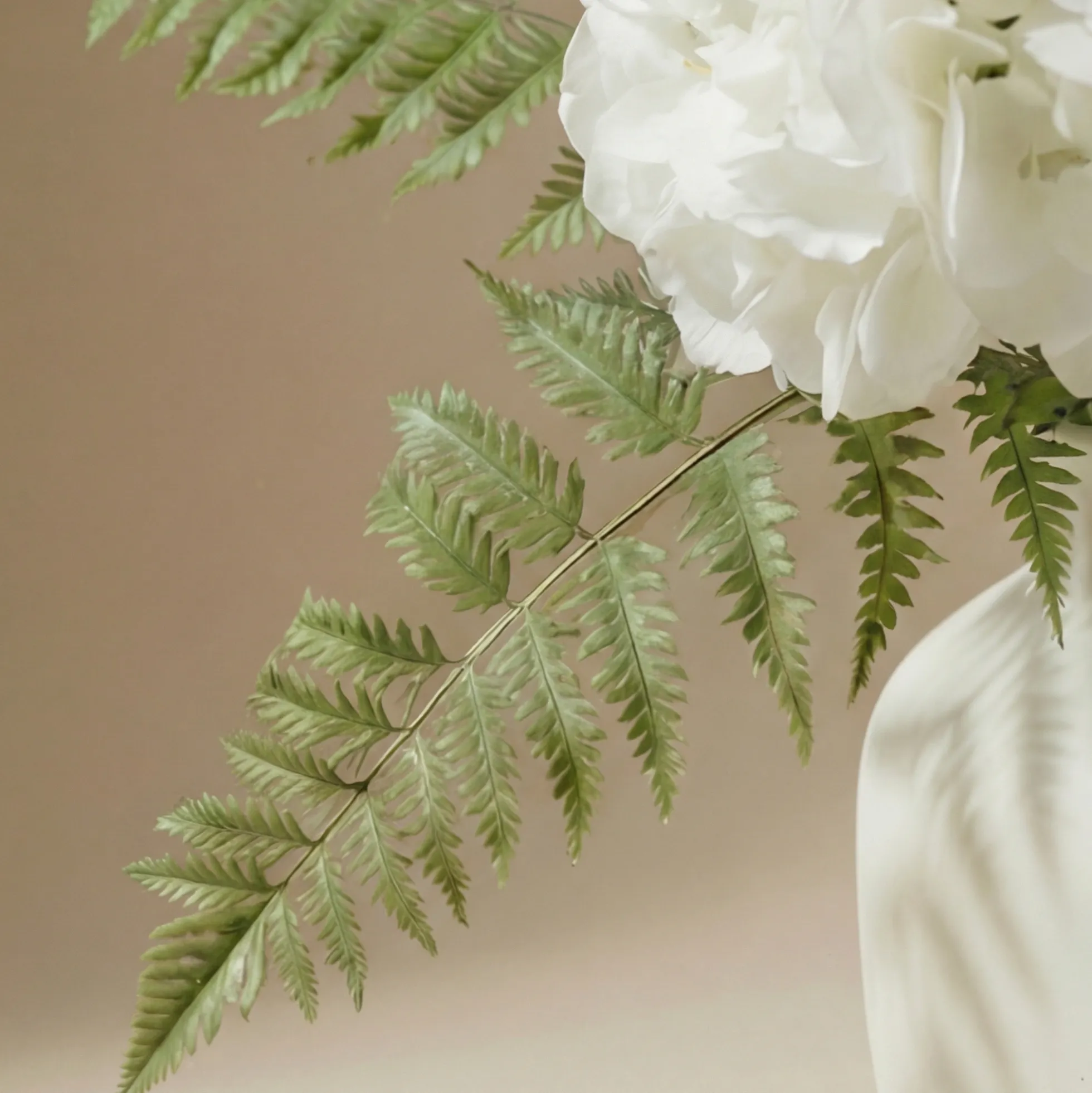 Bouquet d'Hortensias Vireya