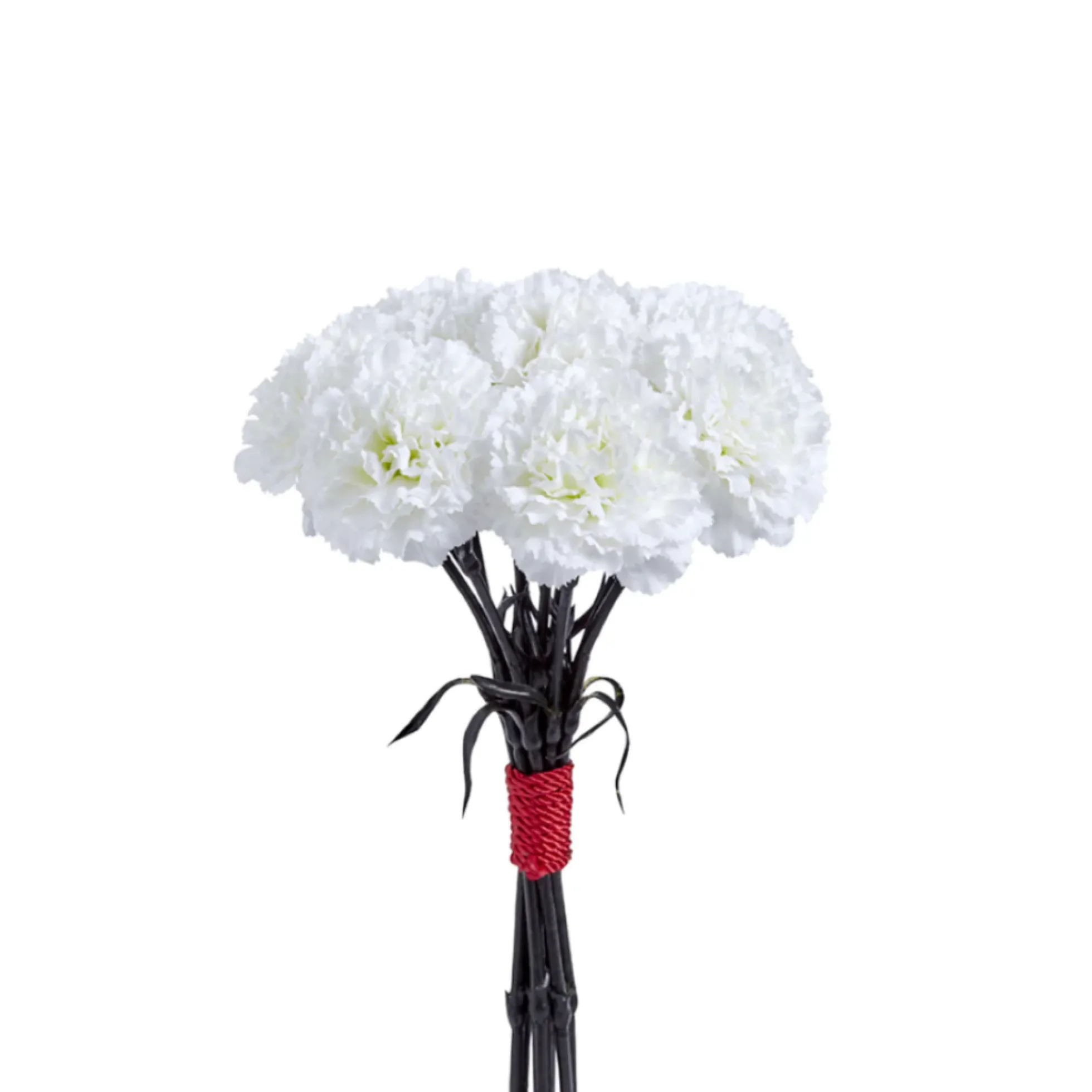 Bouquet d'Oeillets