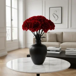 Bouquet d'Oeillets