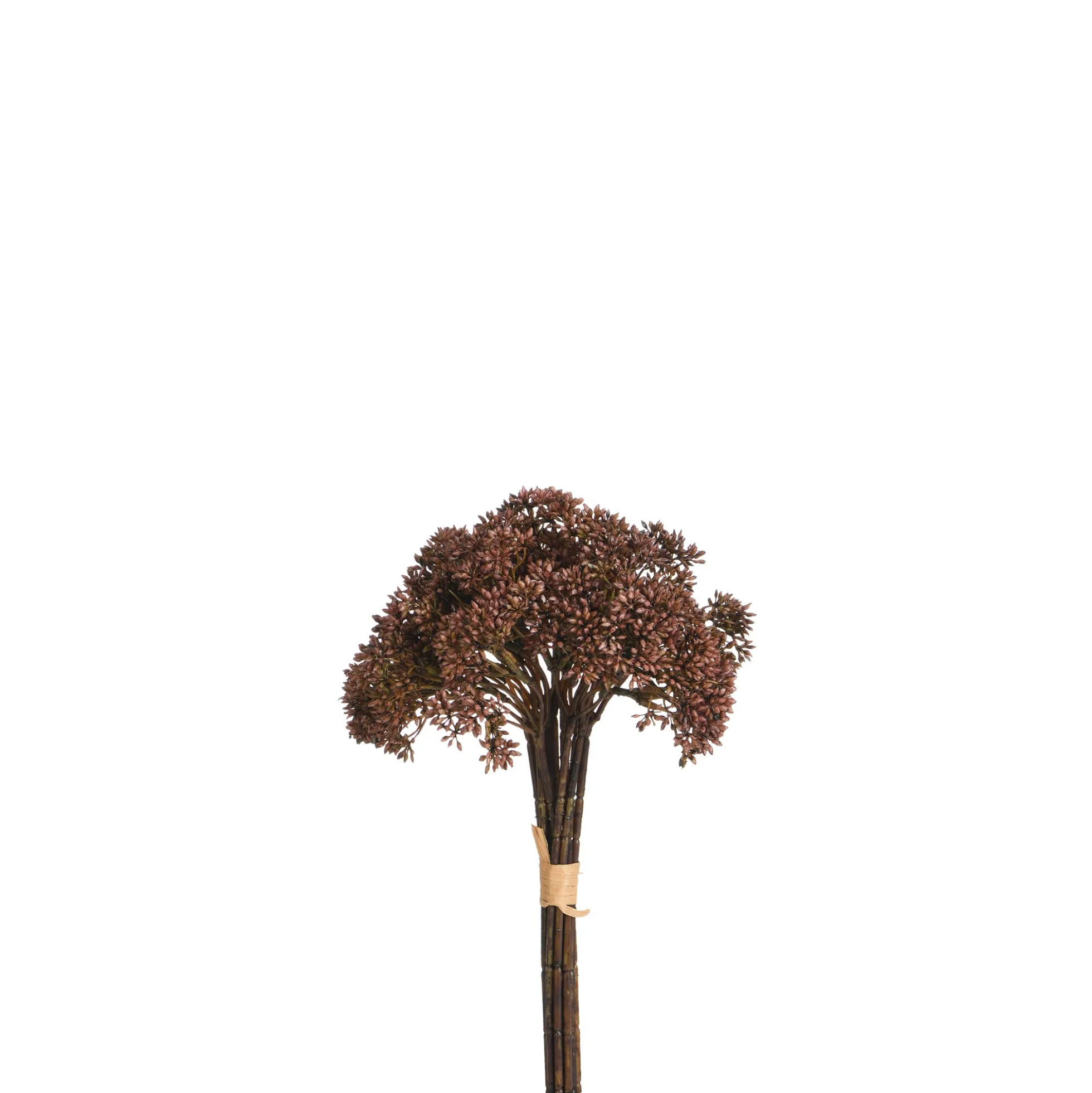 Bouquet d'Orpin 30 cm