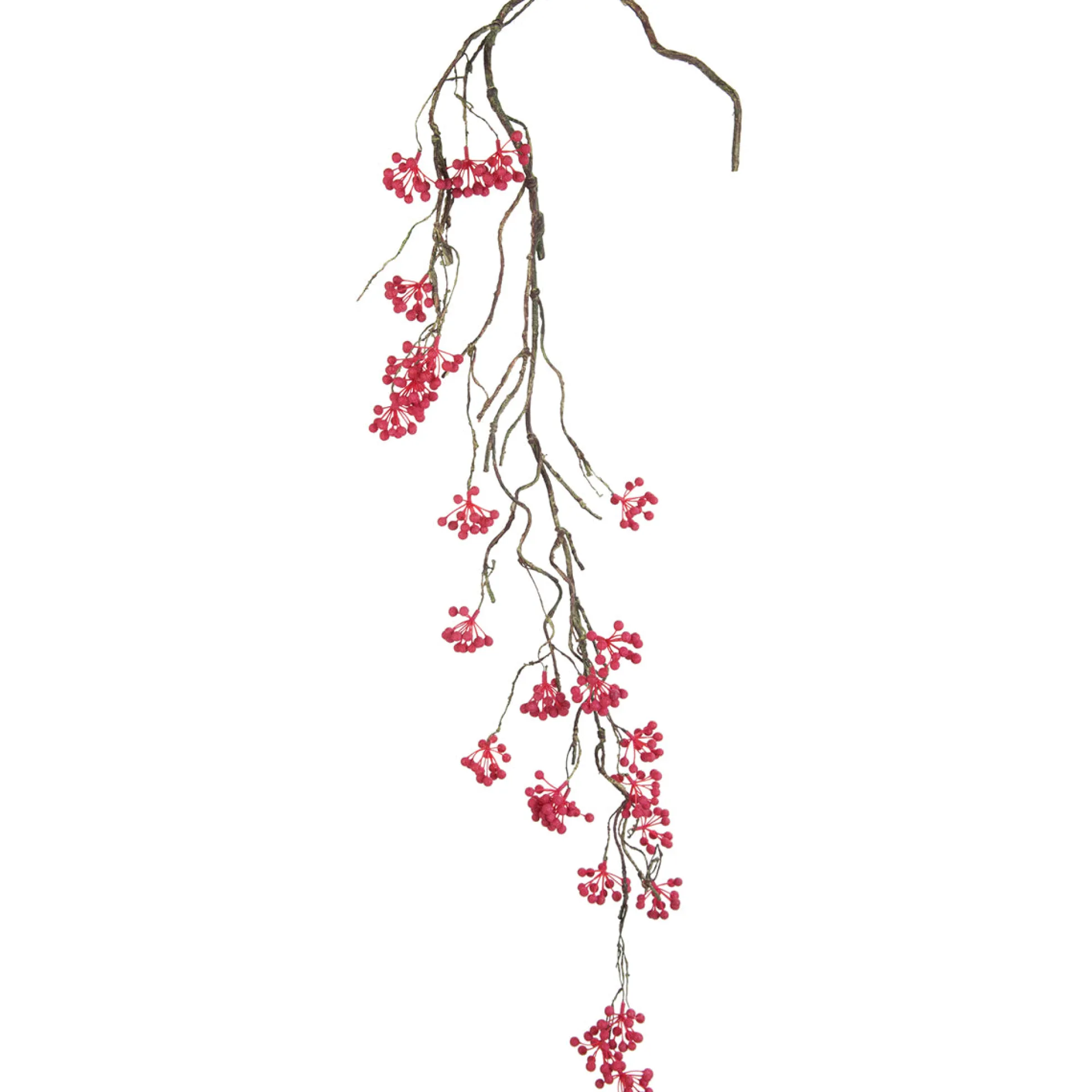 Branche de Baies