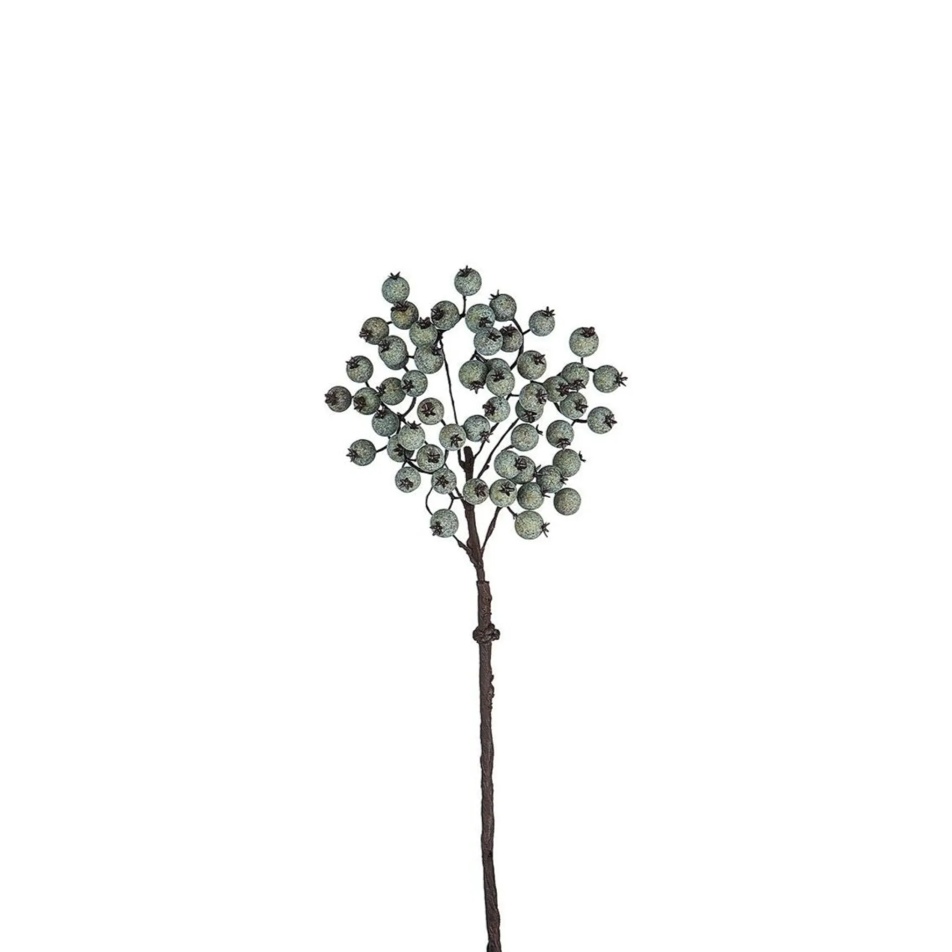 Branche de Baies