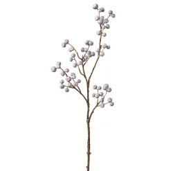 Branche de Baies bleutées