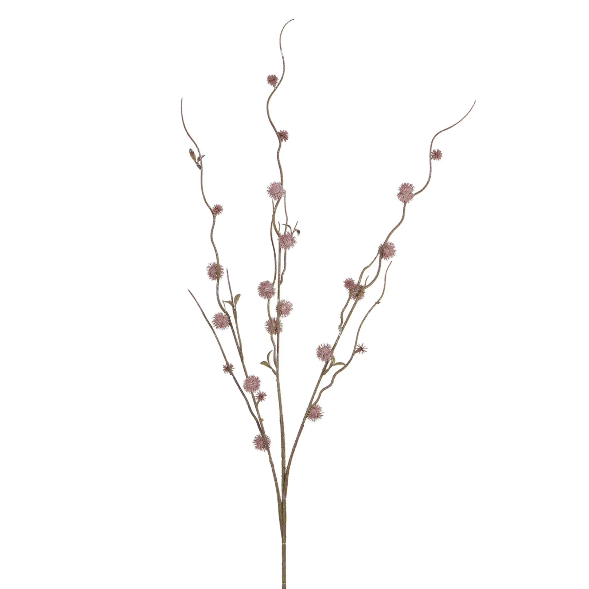 Branche de Chardon boule 88 cm