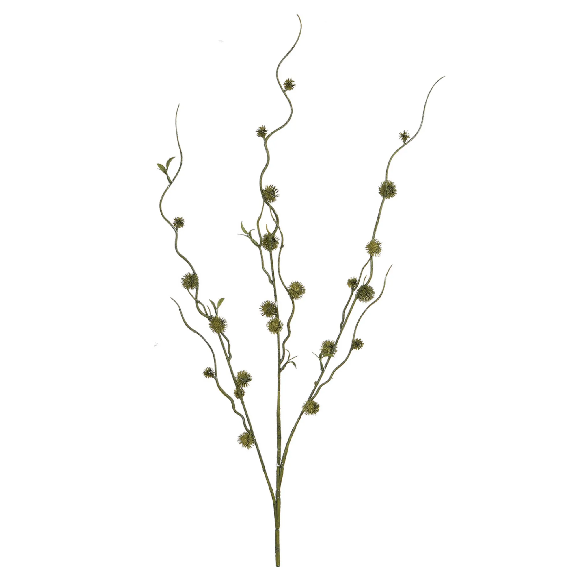 Branche de Chardon boule 88 cm
