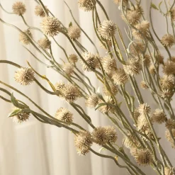 Branche de Chardon boule 88 cm