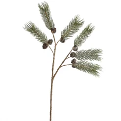Branche de Pin enneigée