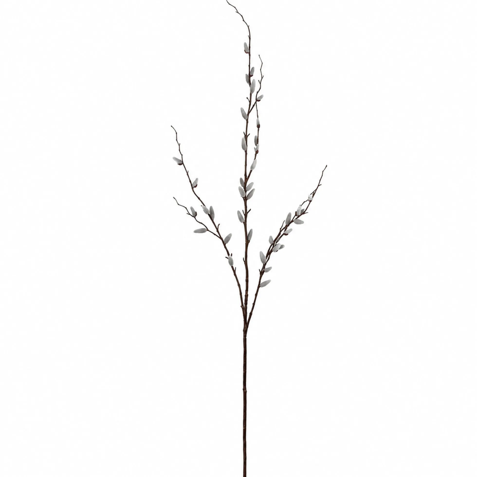 Branche de Saule 155 cm