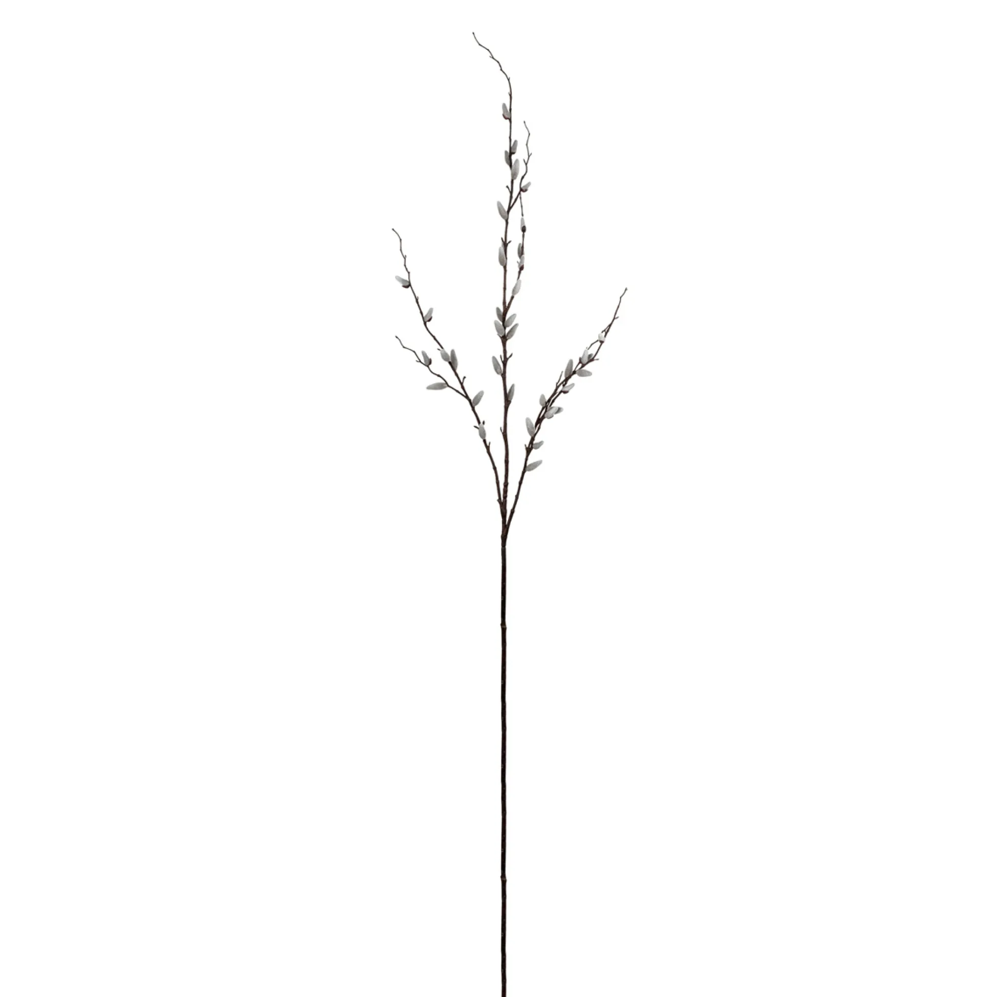 Branche de Saule 155 cm
