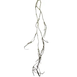 Branche Effet Séché