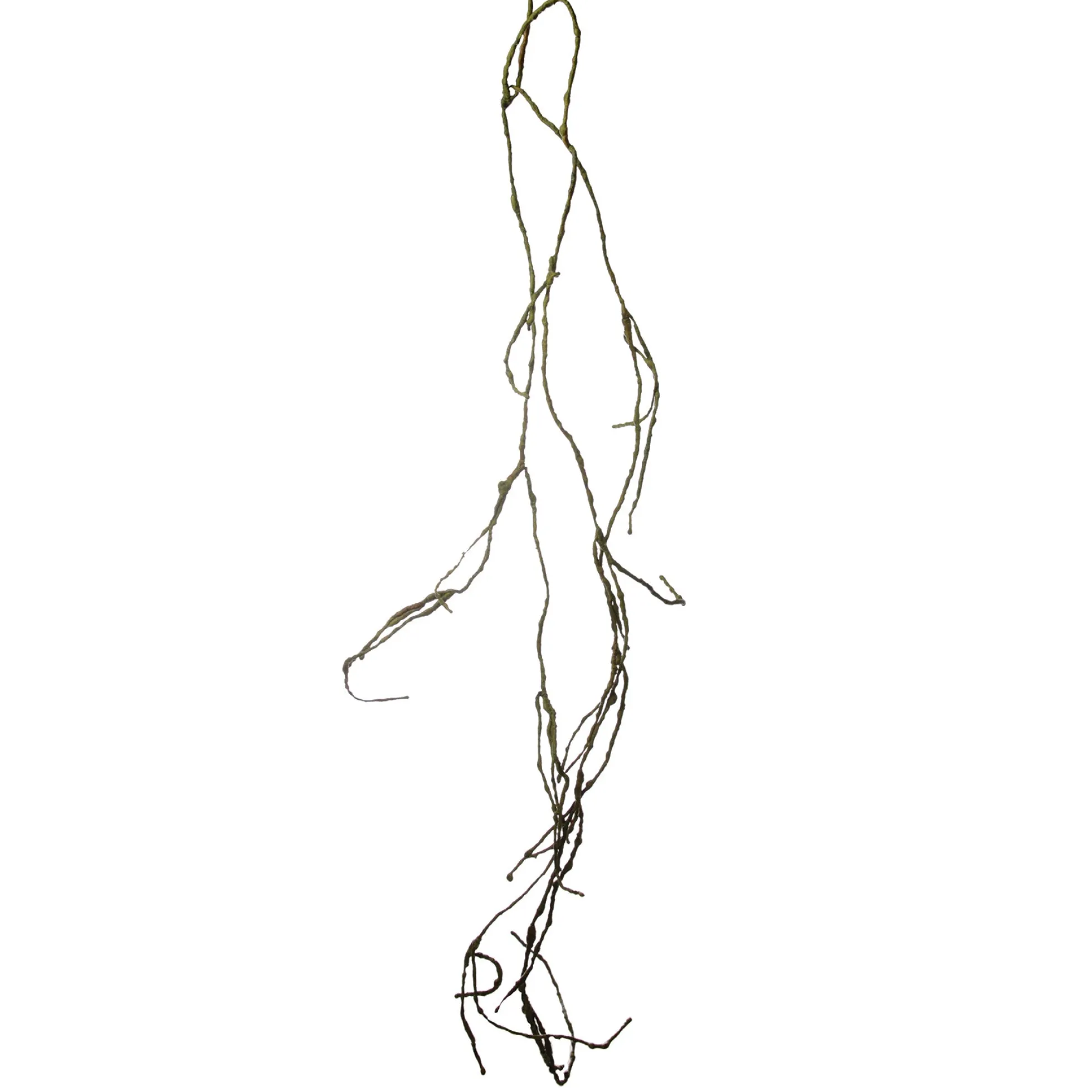 Branche Effet Séché