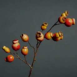 Branche Églantier 90 cm