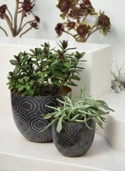 Cache-Pots Baltazar