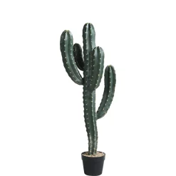 Cactus Cereus en pot 98 cm