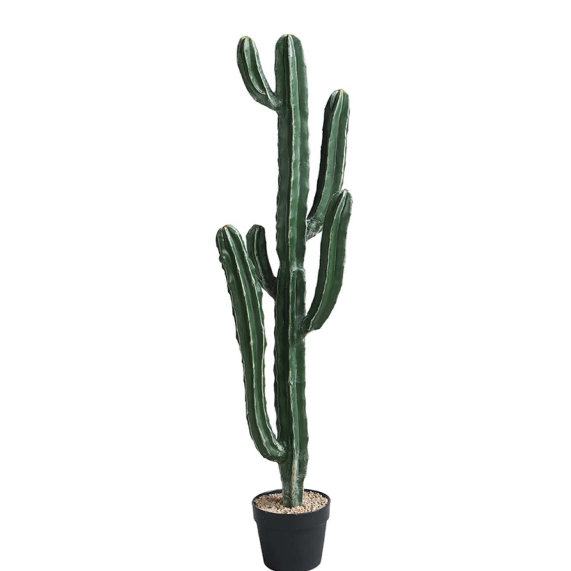 Cactus Cereus en pot 105 cm
