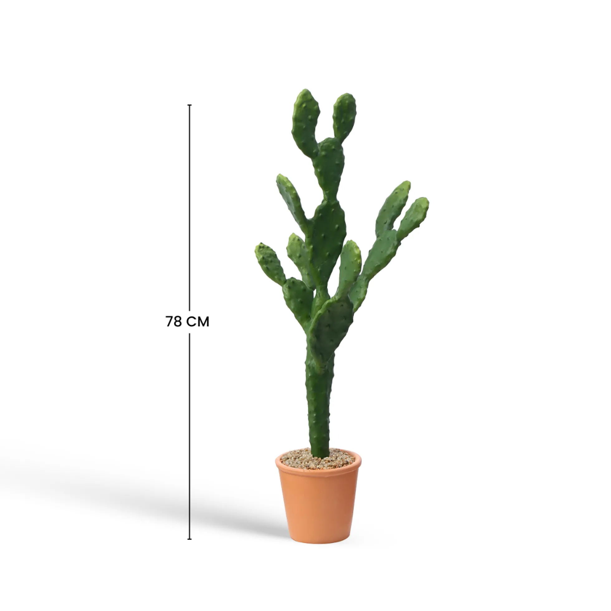 Cactus en Pot 78 cm