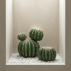 Cactus rond en pot 32 cm
