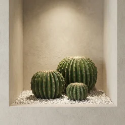 Cactus rond en pot 43 cm