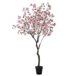 Cerisier en fleurs en pot 245 cm