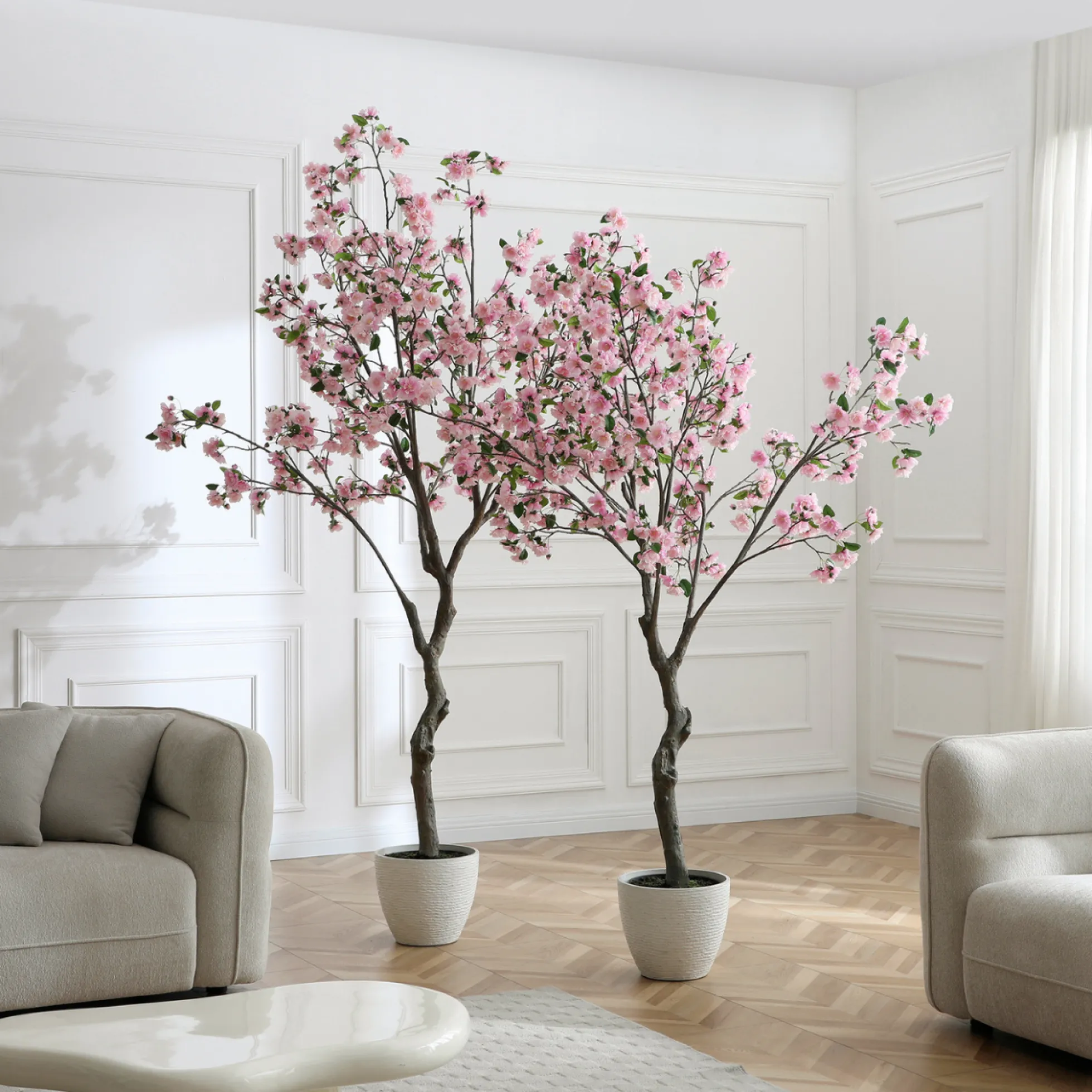 Cerisier en fleurs en pot 210cm