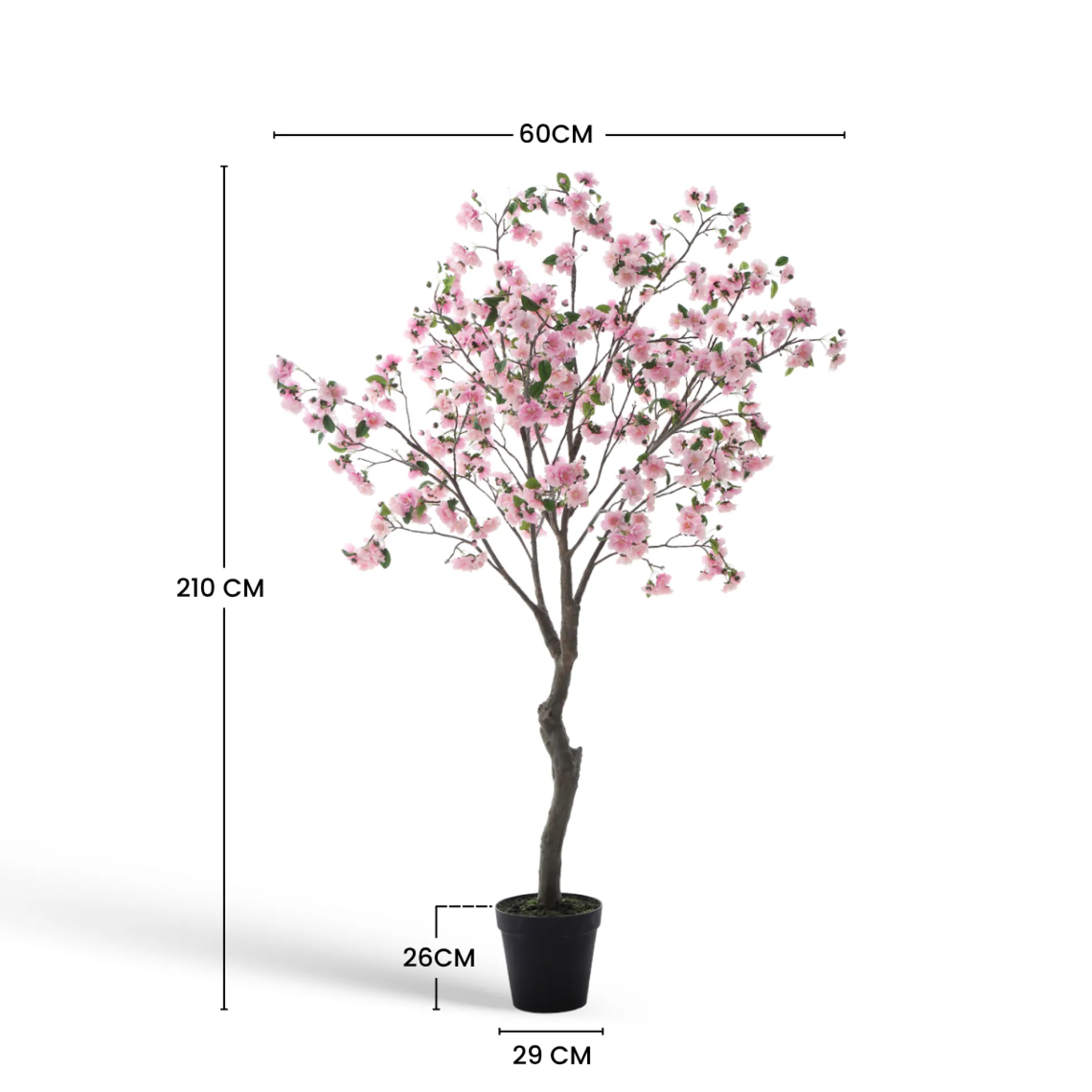 Cerisier en fleurs en pot 210cm