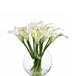 Composition d'Arums en vase 45 cm