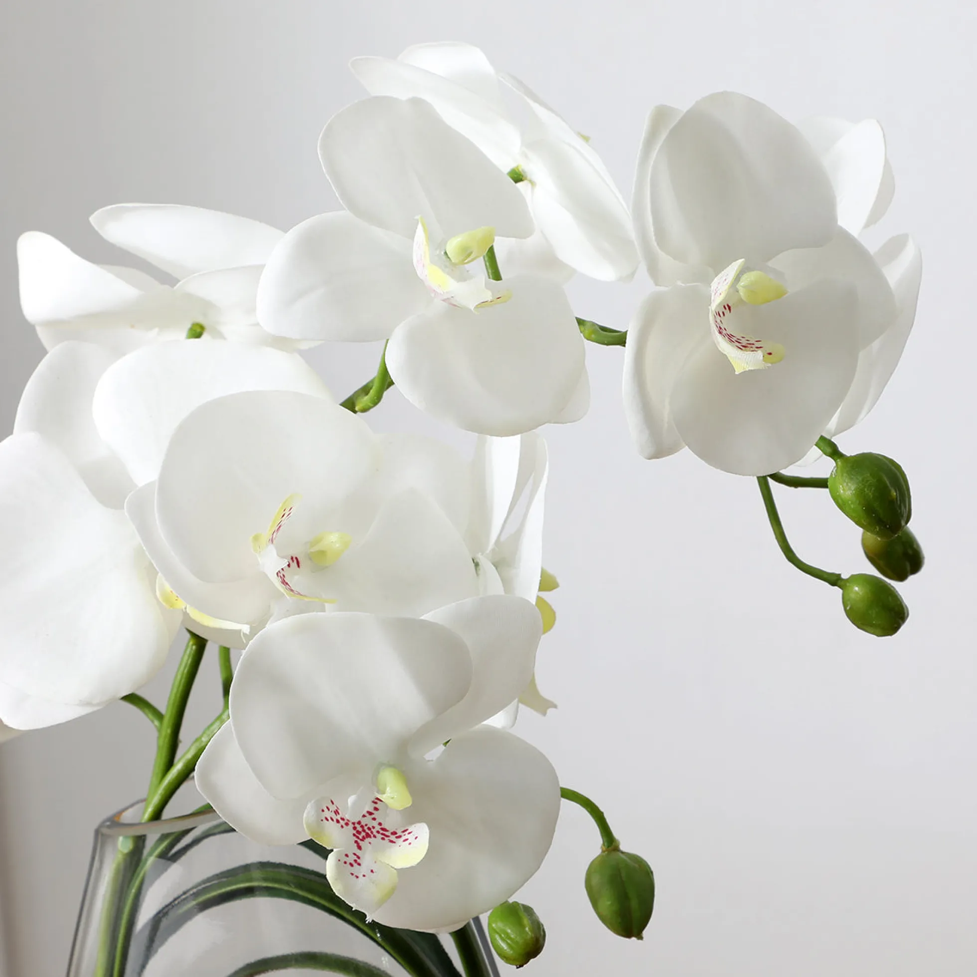 Composition d'Orchidée Artificielle avec vase et herbe d'ours 29cm