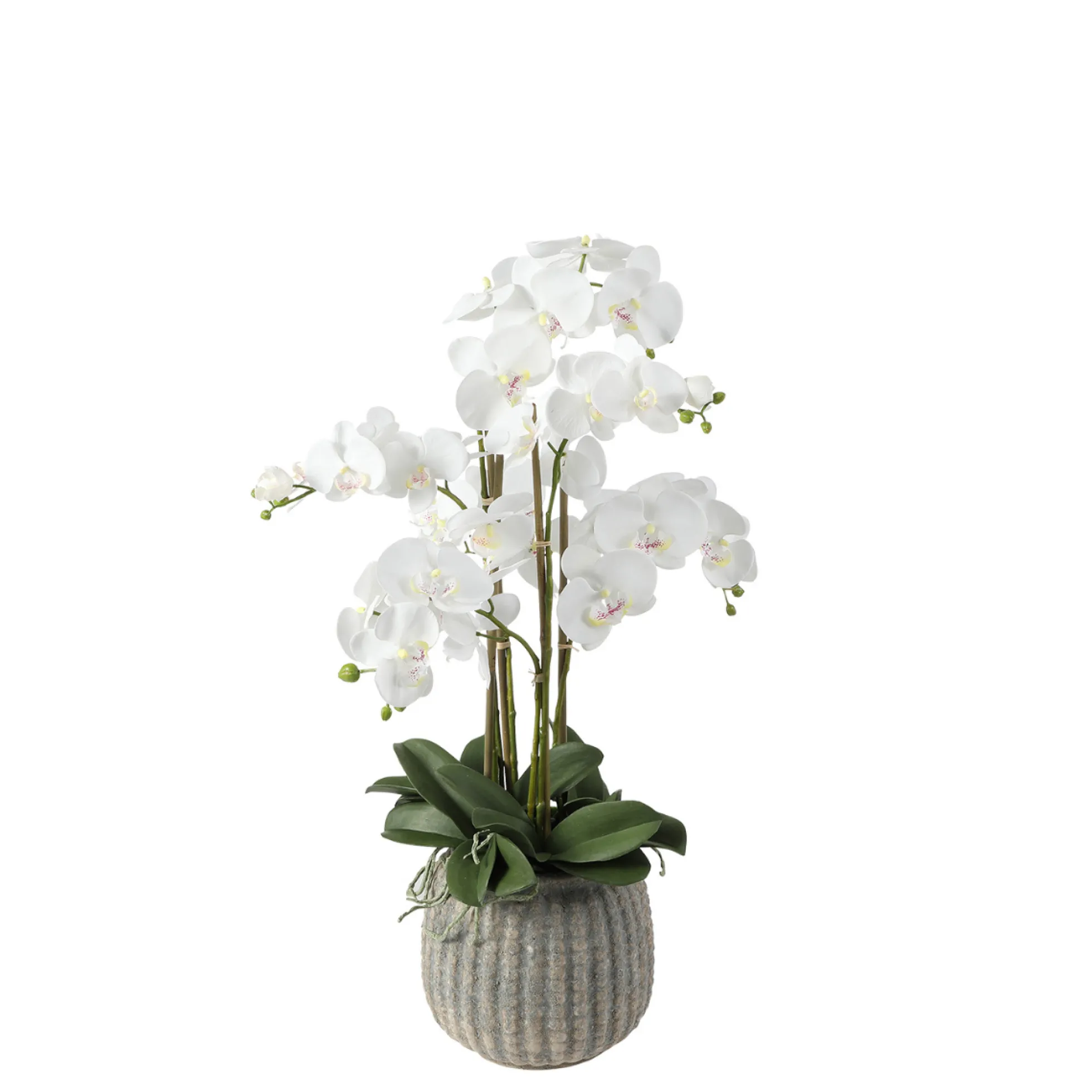 Composition d'Orchidée Artificielle Vase gris
