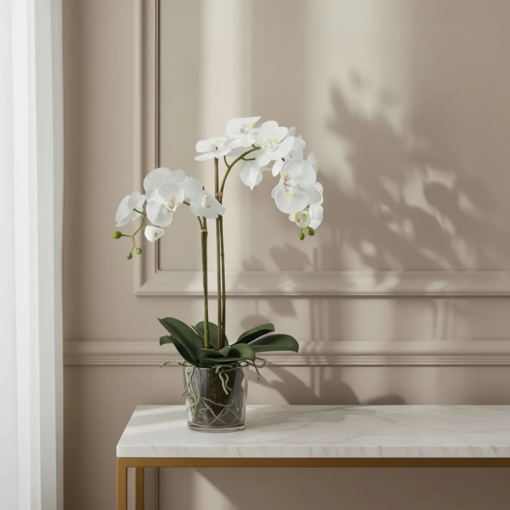 Composition d'Orchidée en terre Petit format