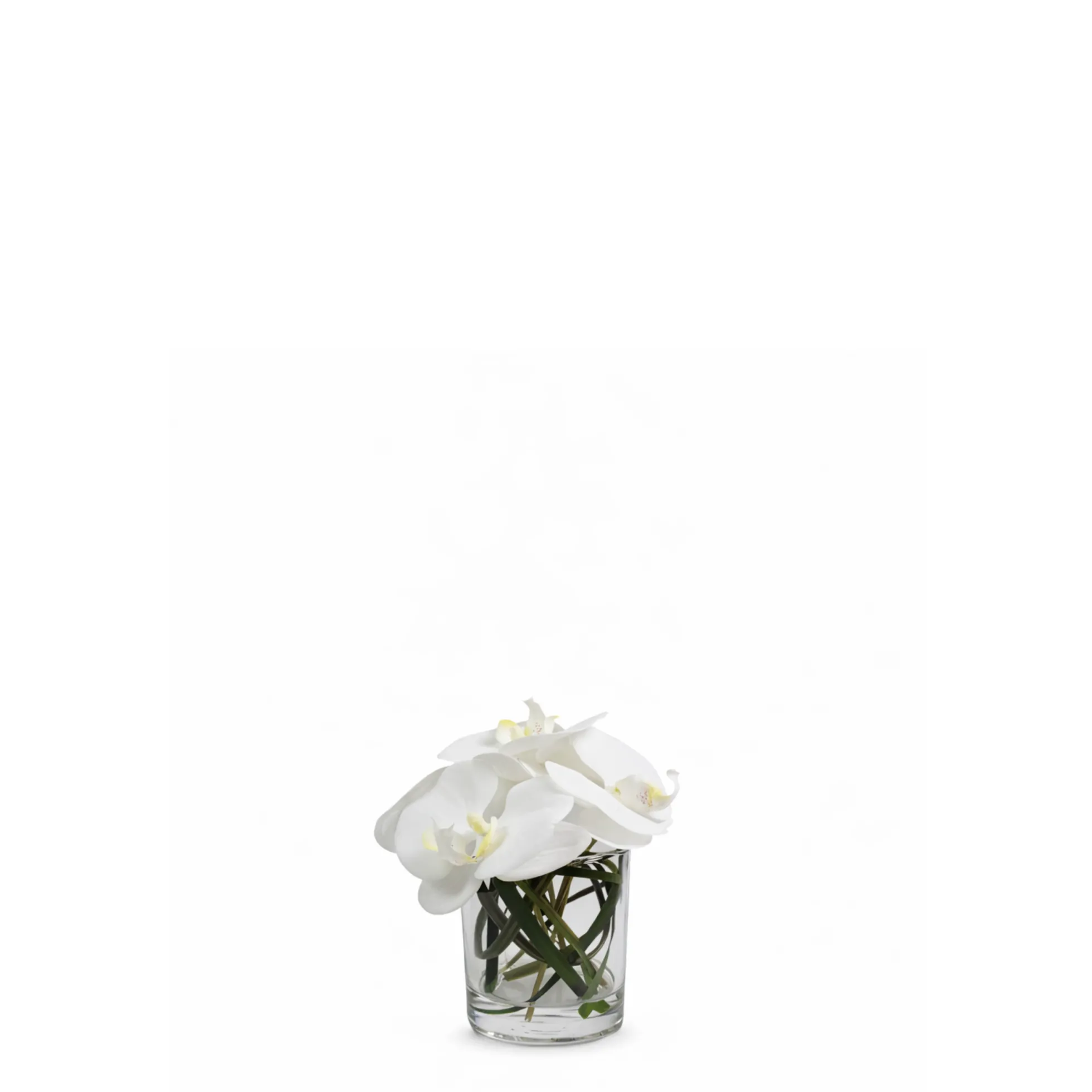 Composition d'Orchidée en vase conique Elie