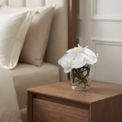 Composition d'Orchidée en vase conique Elie